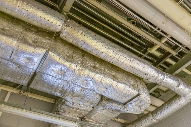 Air Duct Mold Removal in The Meadows, FL